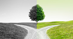 Preparing for the Unexpected